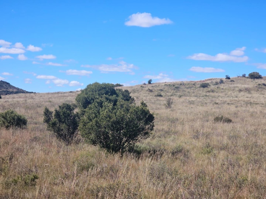 4 Bedroom Property for Sale in Dewetsdorp Free State